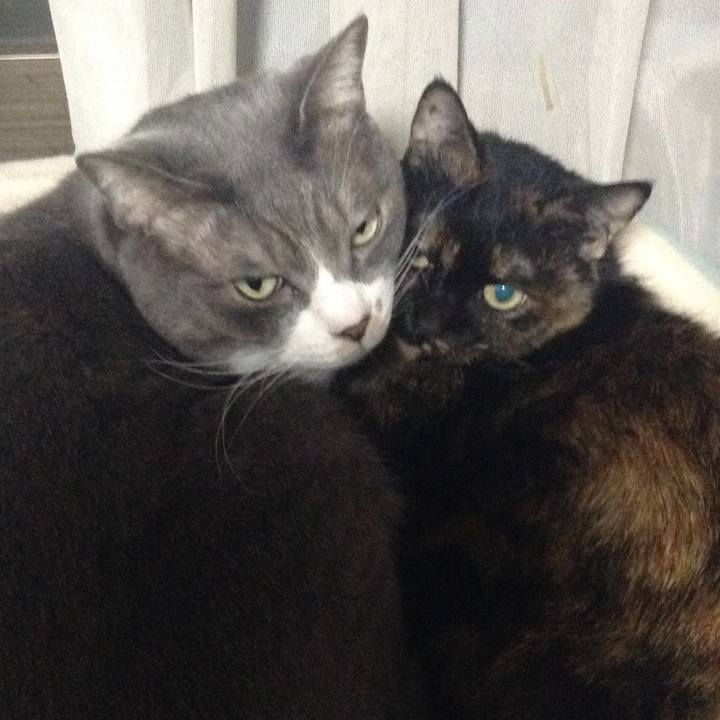 703289b2 55c3 4717 8161 f1c0d2a94736