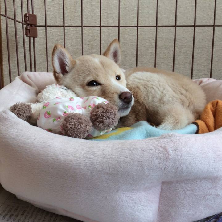 7032a638 6632 4a87 8a01 7ec2bfa29aab