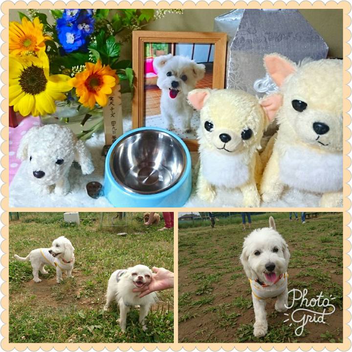 7032c9f7 13d7 44b4 8786 be9ba43cd2c1