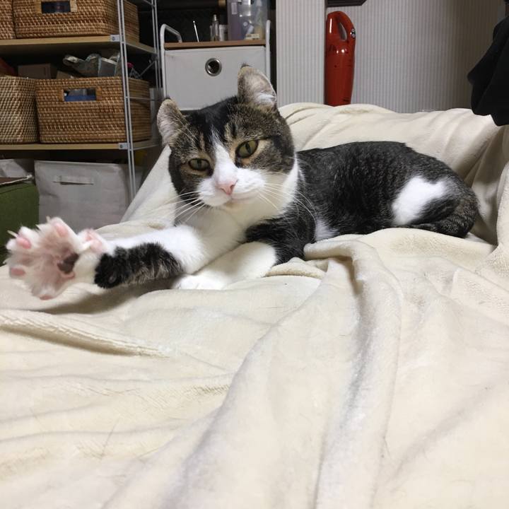 7032e804 b8d5 41c9 9945 f8bf6a83aa9a