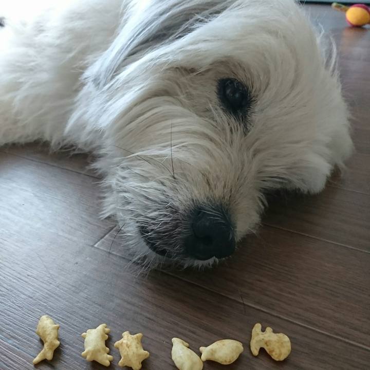 7032f3fb 8b1c 4f5e bbfd 957a1f69f577