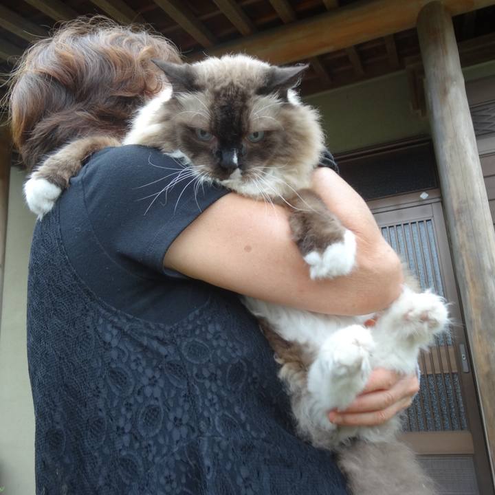 7033ba6a 6145 43ec a612 2e6c8a024316