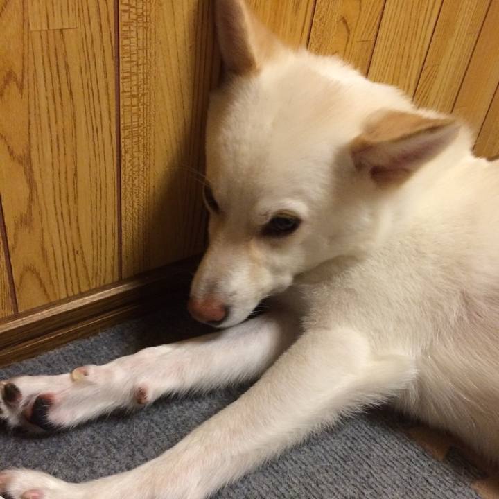 7034163c 14c7 493f aa20 b78deb5c565f