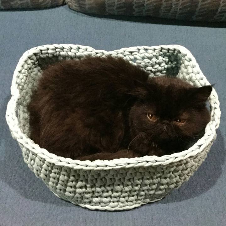 70345758 2576 48d6 8304 016356b718a1