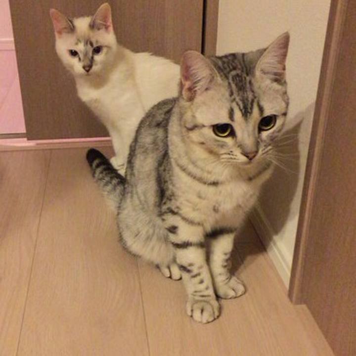 70347e32 9ae0 4705 9bce f4d81992d7e9