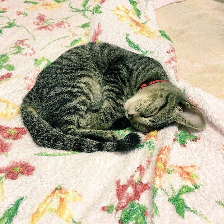 7034b1c5 5f65 421c b327 ca28159945c7