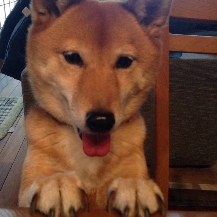 70358c62 9acb 492a 963e 3a0cd2feb9d5