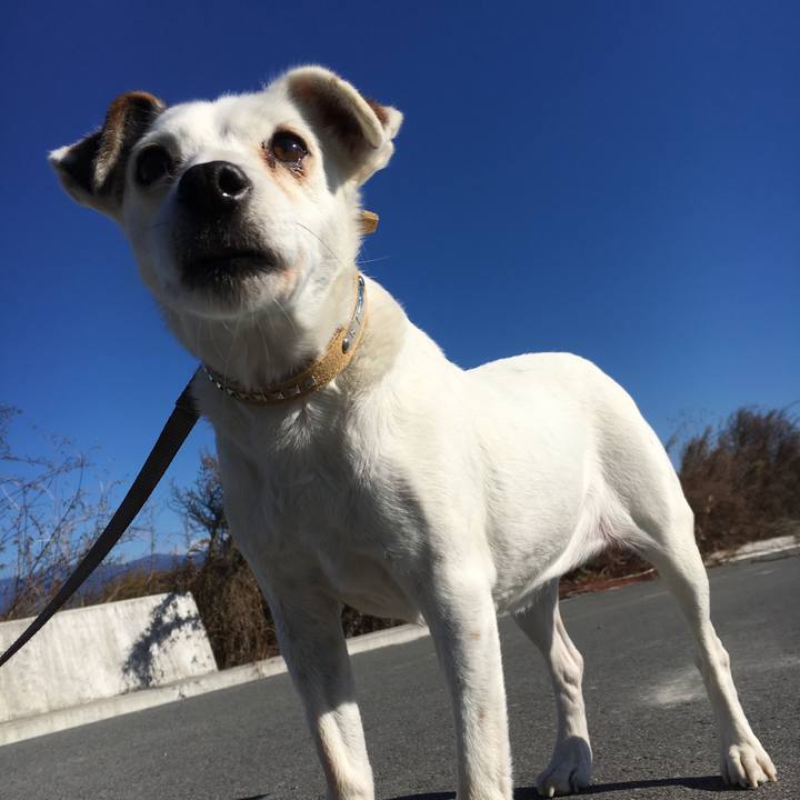 703609b1 e147 4ce3 af5e 38d7168cedc1