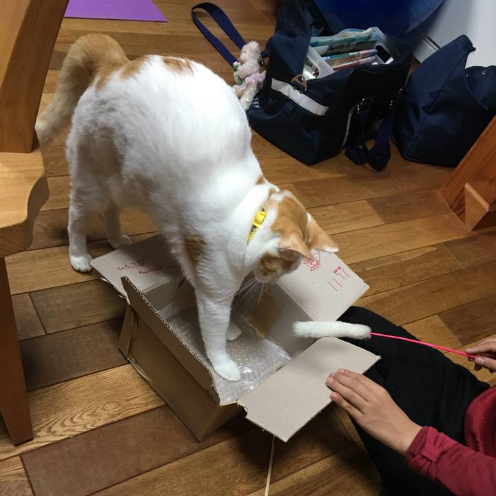 7036176d 1f5b 4367 bfdd eabb64c6e5f6