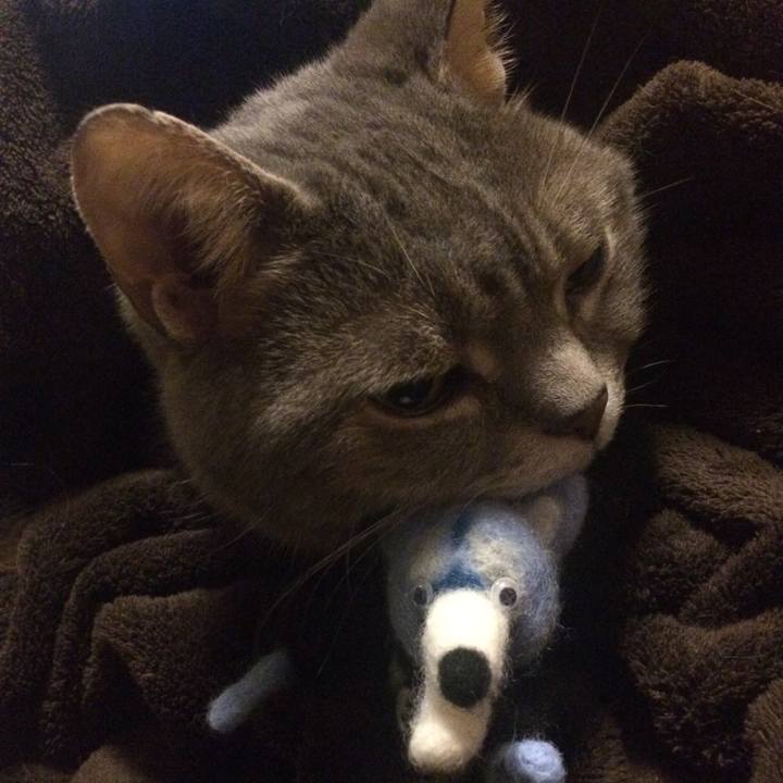 7037238d 5e37 4ff0 9764 368582a08415