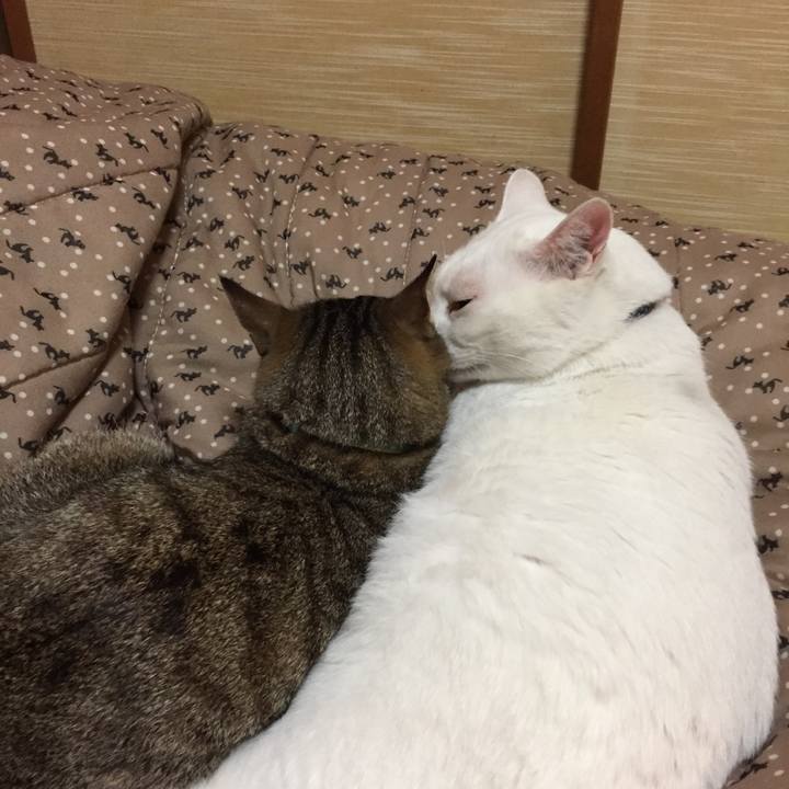 7037278f 3ad1 4e02 bc3f 5a46289c0e12