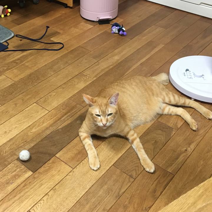 7037817d d548 4983 bf77 6fd46066cebd