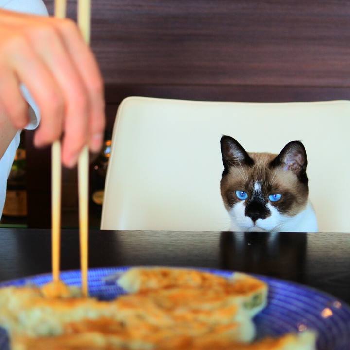 7037ef26 03e9 4ef9 8bcb e9928d324520