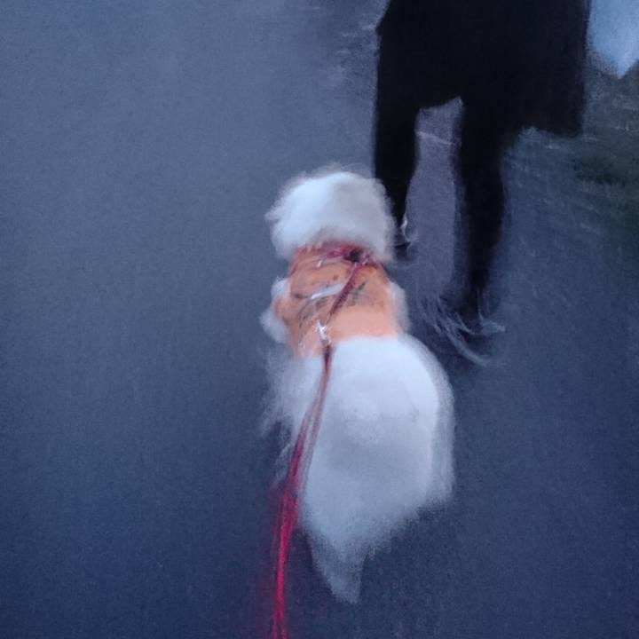 70382e38 c74d 4a8a 92cd b7bd1e07be2d