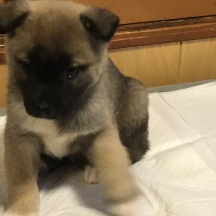 7038655f 5eb0 4bd7 831b 2a33dab7fec1