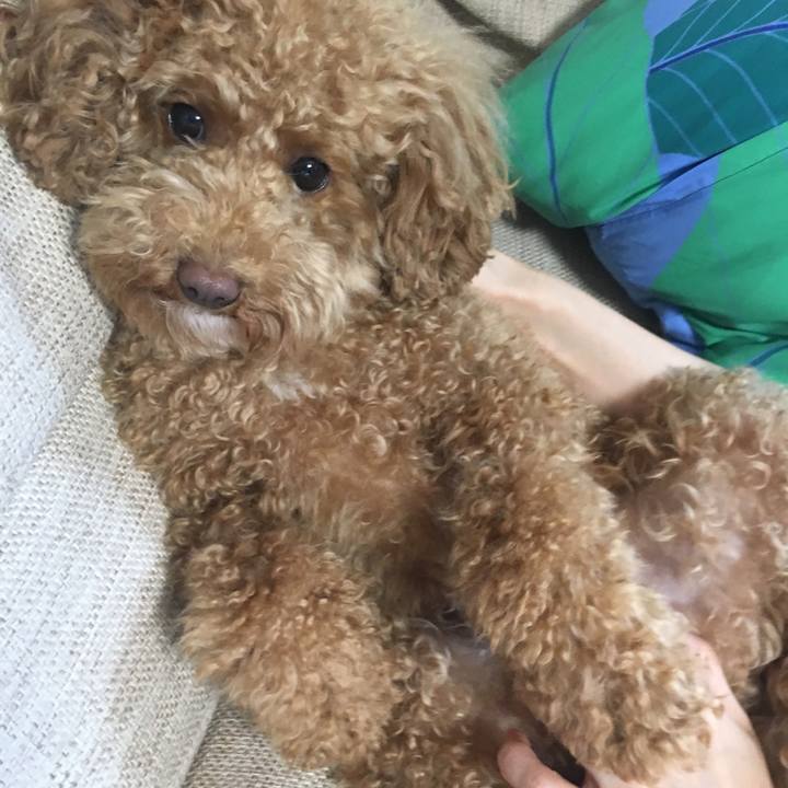 703932ff e890 4bd5 a14e 122eb105aa87