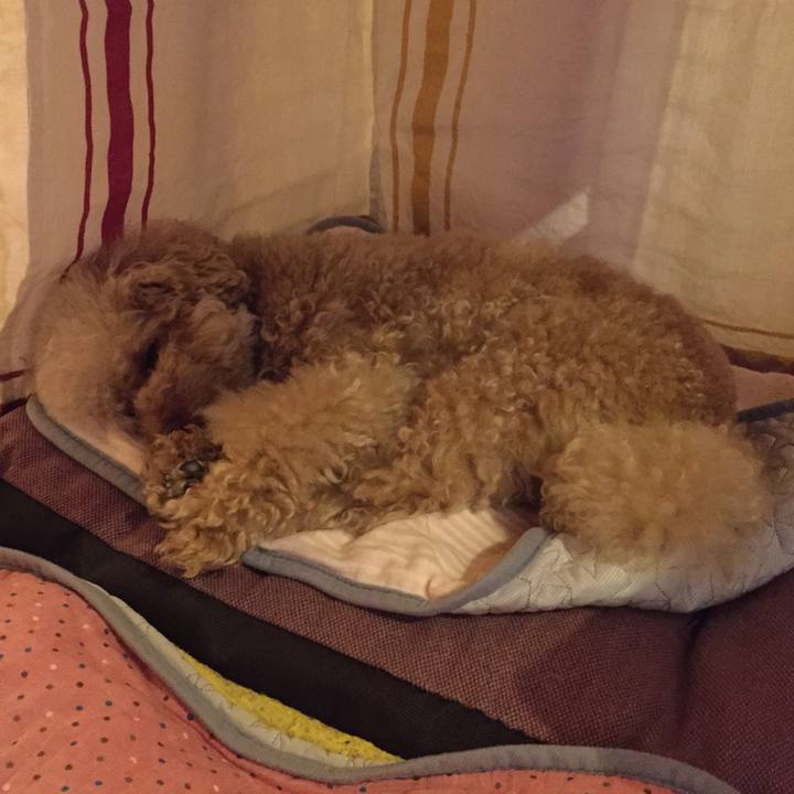 70398d70 9c99 4805 9c3d 4364a83f423b