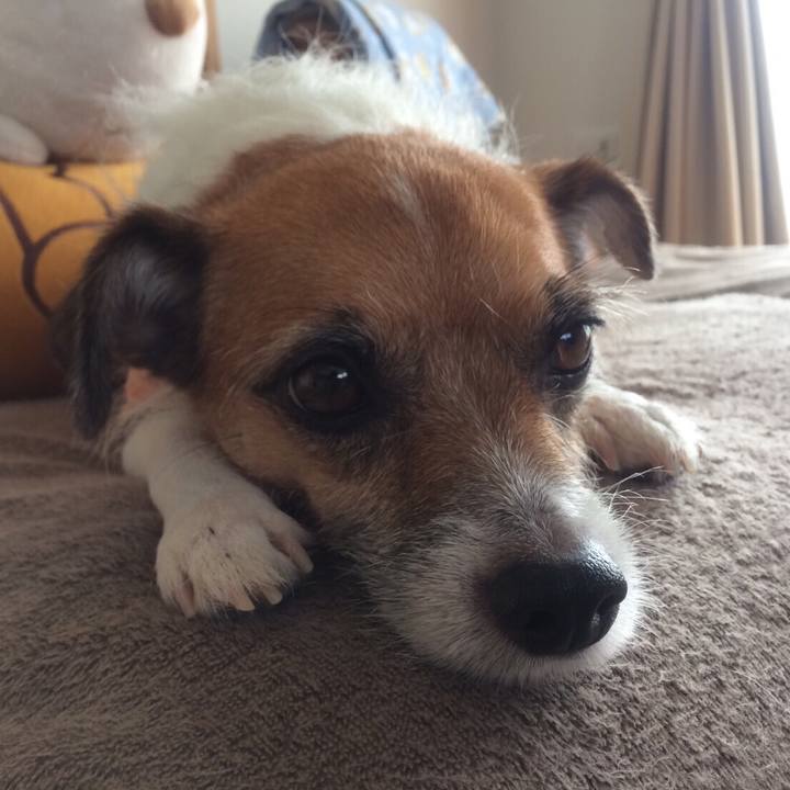 7039e2a3 bccd 45d6 ae77 cb06e3ddf0bd