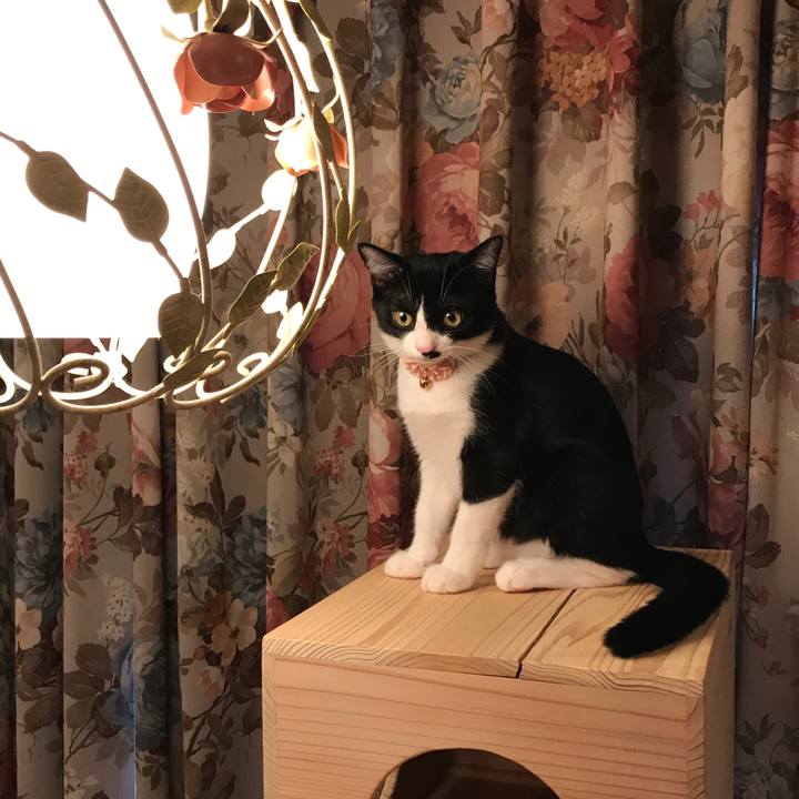 703a2cbb 6c8c 4862 9e6b 744d25bc8a61