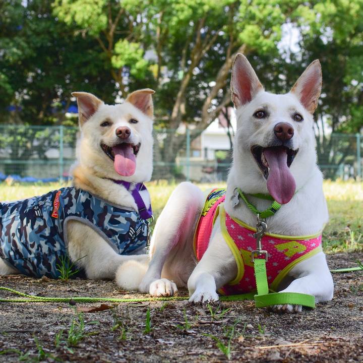 703a8407 c658 4d05 a419 48fe7d3a47b6