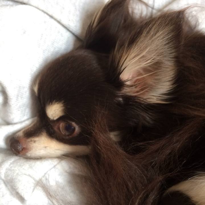 703bc248 eceb 4b3b bb6c d131258b1fcd