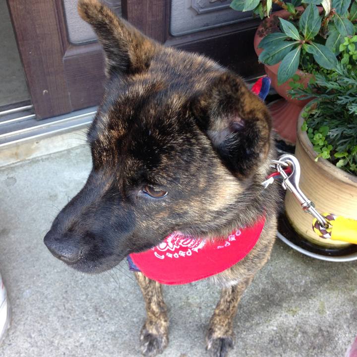 703c274c abb8 4303 8031 e2f4544fb116