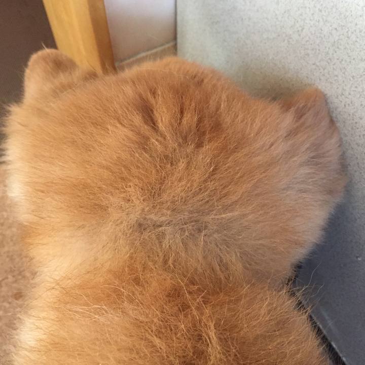 703c3048 91c1 424a 9872 e932c6ee326d