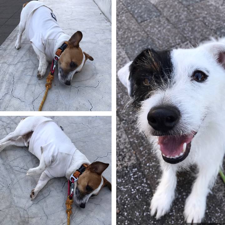 703d14d5 24b3 440f be45 646fa8ea082e