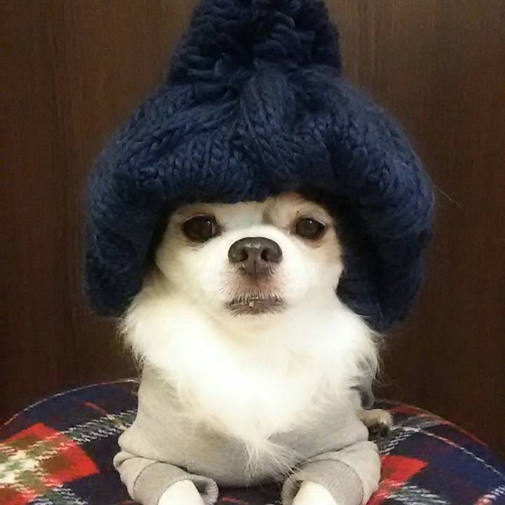 703d2980 7dbd 49e3 8465 5066896a902e