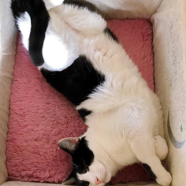 703d29d6 31b3 4f2b 87b2 ac050991e429