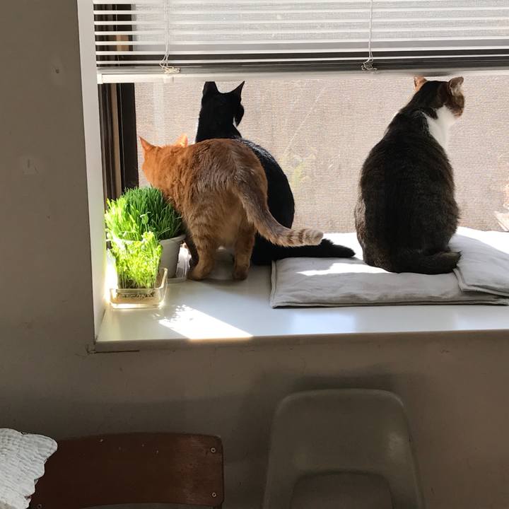 703d9ac5 59b1 4c6e a862 3e4b8a84ea7a