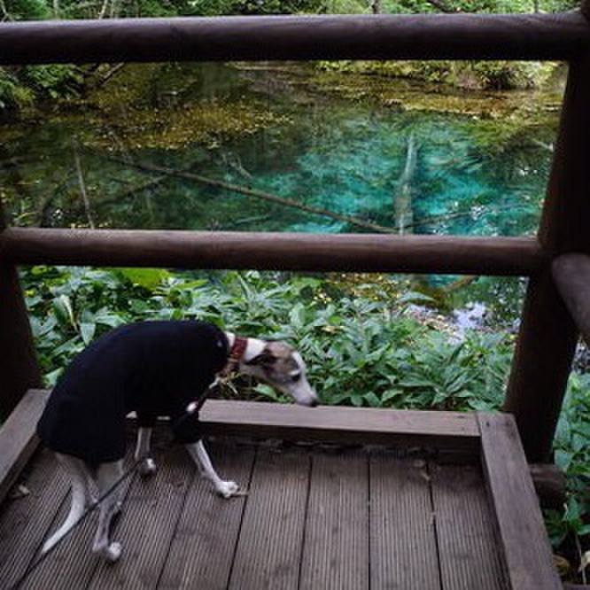 703e16fd f9b8 4945 a102 d16d2e08233a