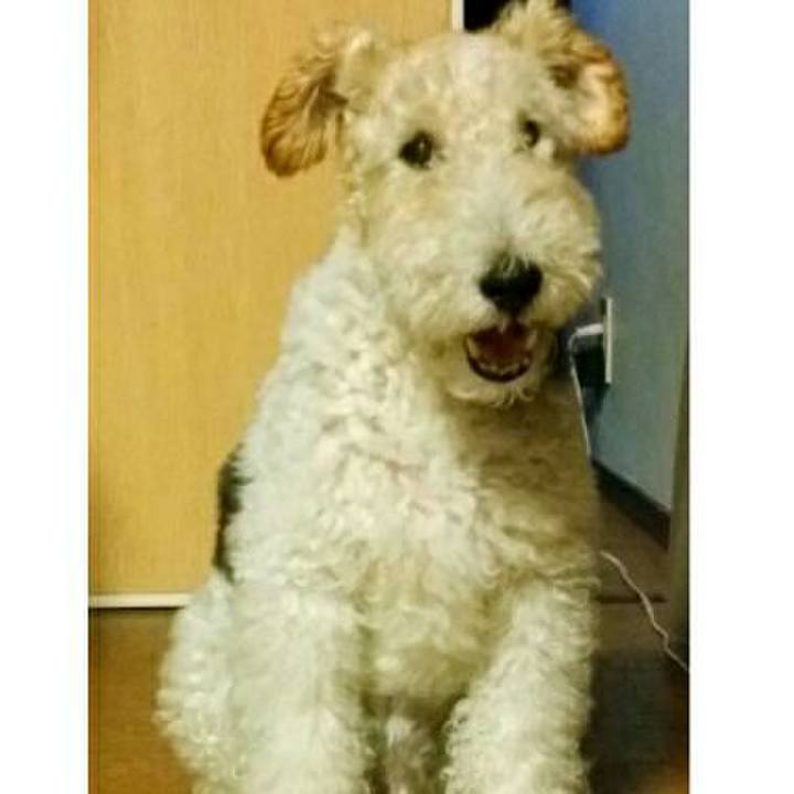 703ea474 af41 4820 ba14 14494317d775