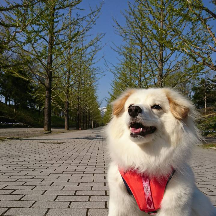 703f1a2b 48fb 4e54 9894 1063bdc5c5cf