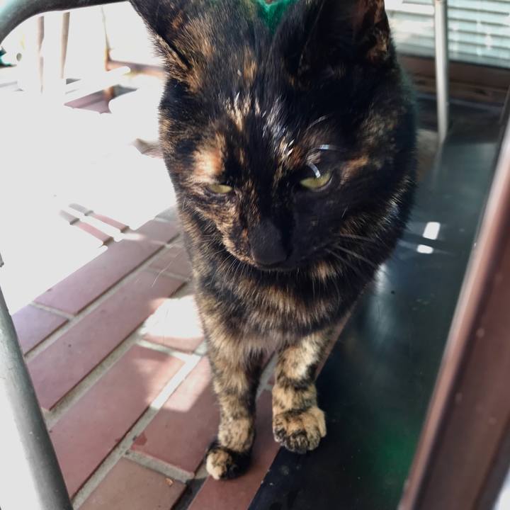 703f89ea a4e7 4002 8a3e 61a423b10fe6