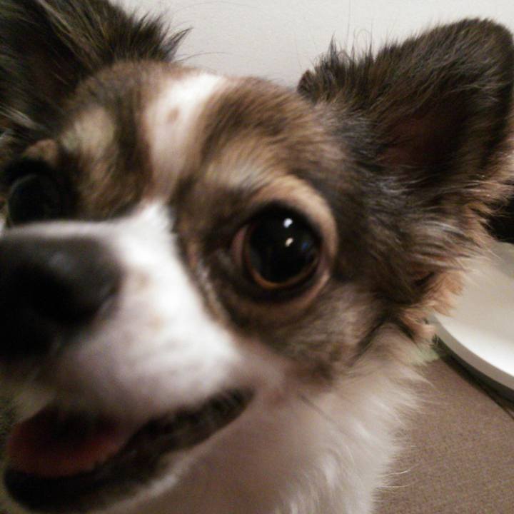 703fe42e 92a7 4b65 aac2 50a953a98c41