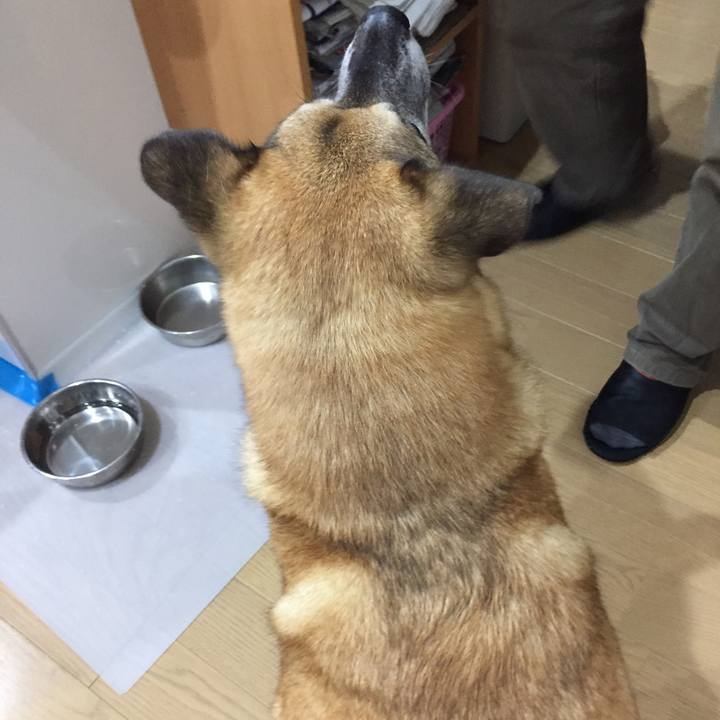 70400e36 66ed 4883 8435 3311407d1014