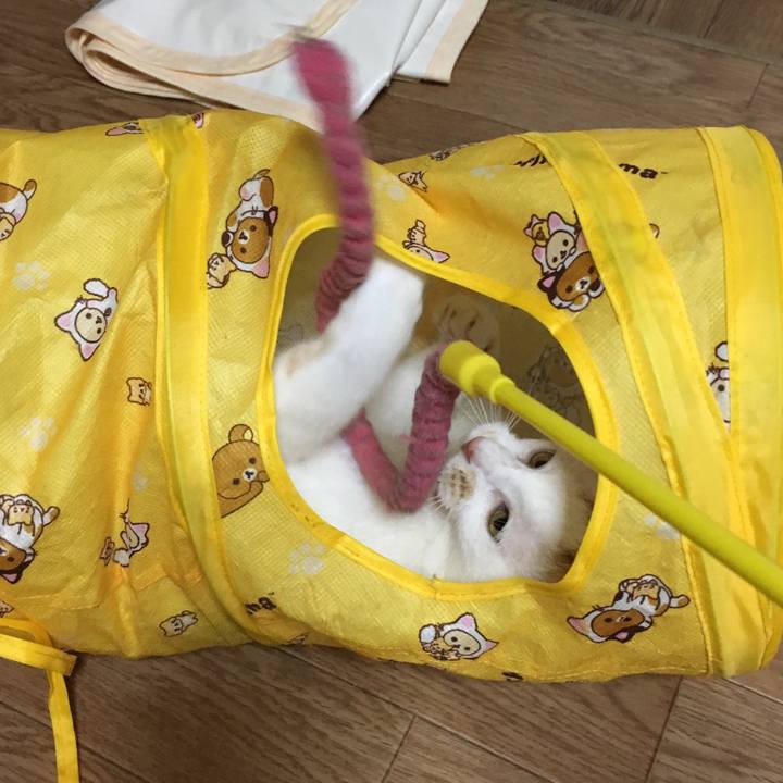 70403bed 2c1f 4cf4 91a8 32735a0c20d8