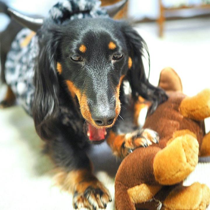 7040fd23 203d 43ee a43b 316458393128