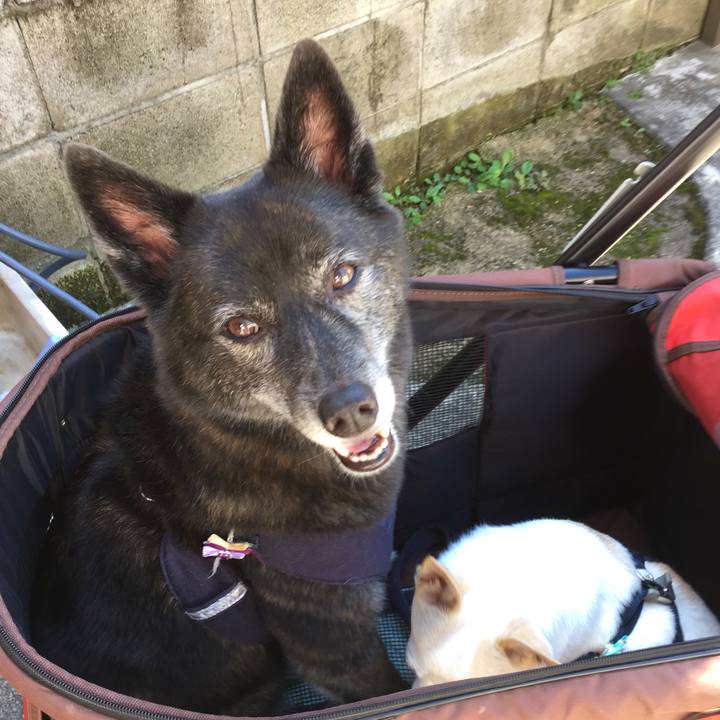 7041d67f dada 4940 ac0e bf0422a466f9