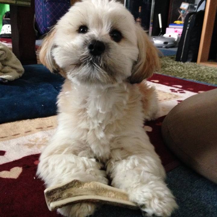 7041f239 644c 49ef 9950 a032c1e97263