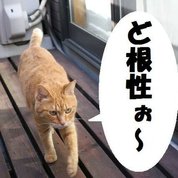 70420d6c d096 431d 8b1c 227c6203cd38