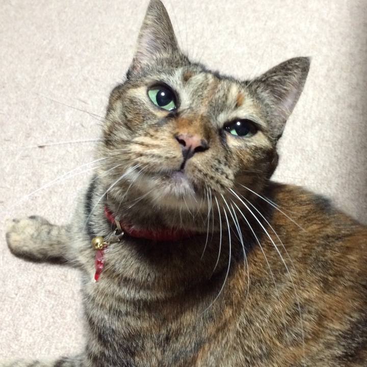 70441b39 085f 491c b2e7 2fd436f1a37e