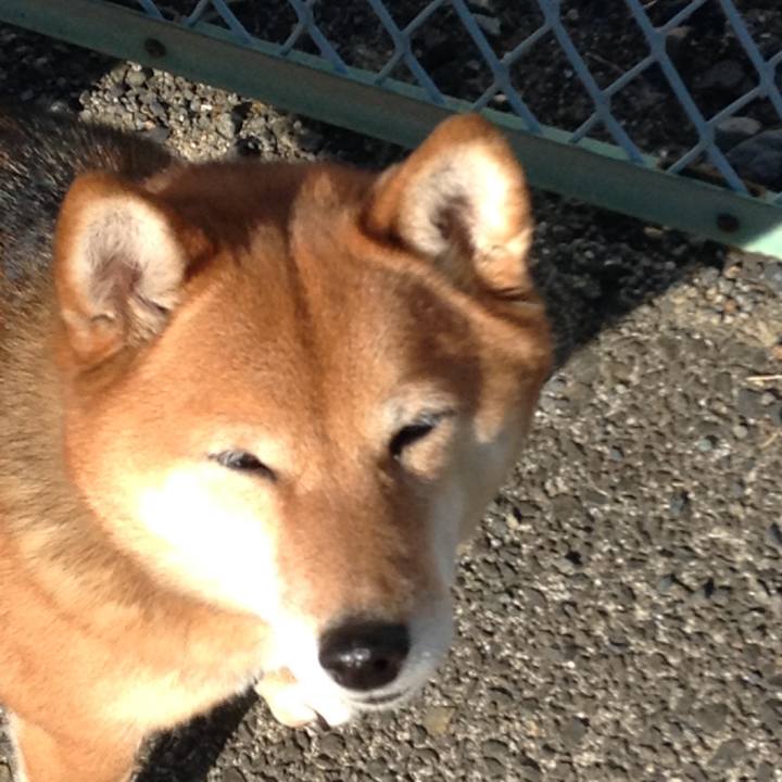 7044546e bb2f 4fed 991b d67dde495dac