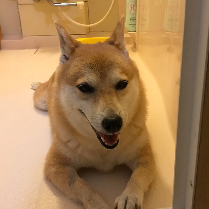 7044862c 0439 4d6b 8a16 33a6eac0f4cf