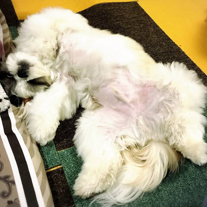 7044b690 d900 4271 8cc4 bb9672a8e376