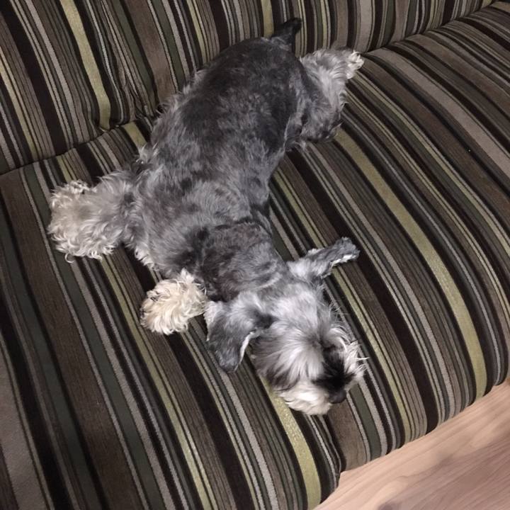 7044d32f ab0c 400f a979 f8eaed1d94f5