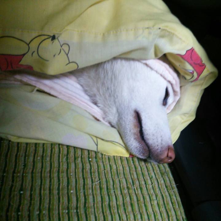 70457cab e42a 4dc0 9e7d 32df6a1df3d3