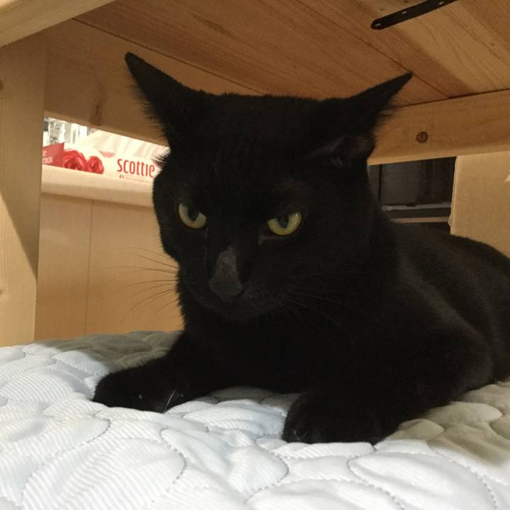 70459a90 3e43 47c7 bce0 acb067d3f536