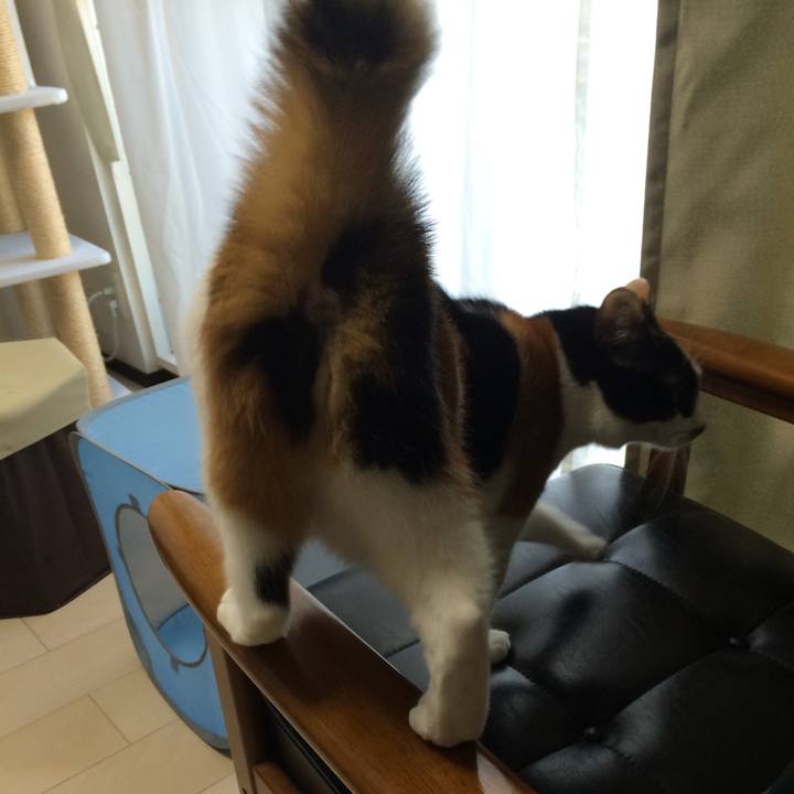 7045e2f7 ae4d 42e3 bb39 8820e624795a